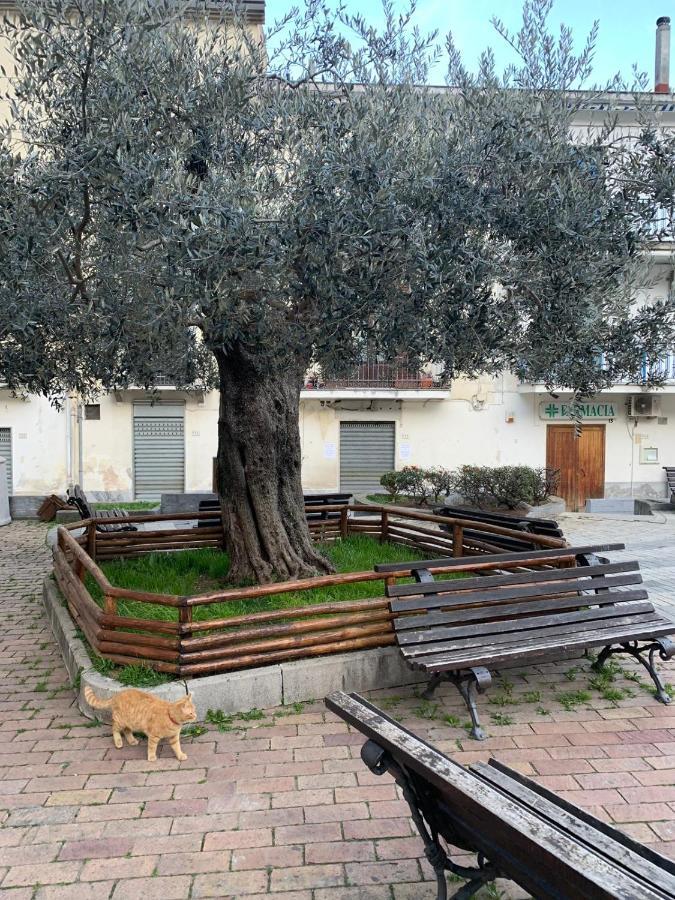B&B Il Vicoletto Olevano sul Tusciano エクステリア 写真